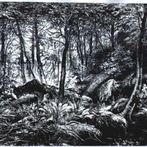 4 prace tworzące cykl “Białowieża – w głab lasu” – 4 works forming the series “Białowieża – into the depths of the forest”